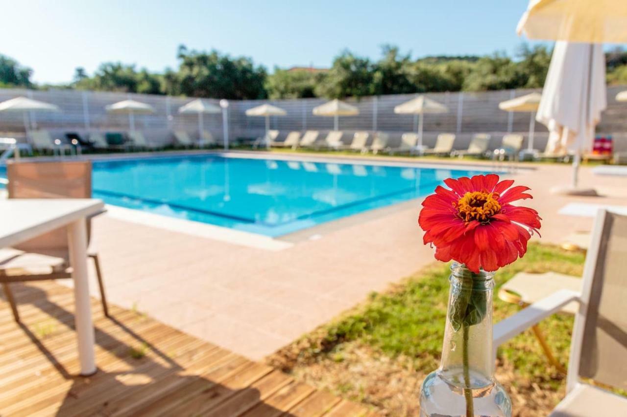 Charming And Comfy House Apartamento Agia Marina Exterior foto